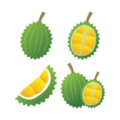 Vector Illustration of Exotic Durian Fruit