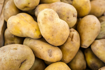Heap of Freshly Dug Potatoes, Ready for Market Sale, Showcasing Natural Texture and Color