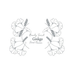 Vector illustration of Ginkgo biloba flower and branch frame.