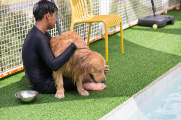 Happy smiling man with dog at the swimming pool. Dog learning to swim concept