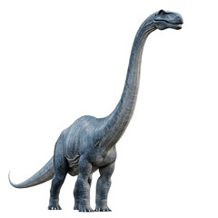 Obraz premium A large dinosaur is standing on a white background Transparent Background