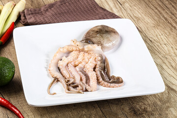 Raw fresh octopus for cooking