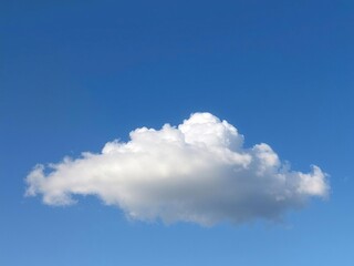Fototapeta premium Soft and puffy cloud formations resembling Samoyed's coat, floating in the clear blue sky, puffy, nature, soft