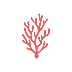Fototapeta premium Coral Aquatic Marine Plant