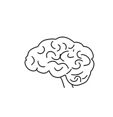 human brain illustration on white background drawing 