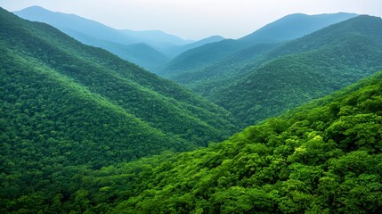 Obraz premium Lush Green Mountains Under Soft Blue Sky