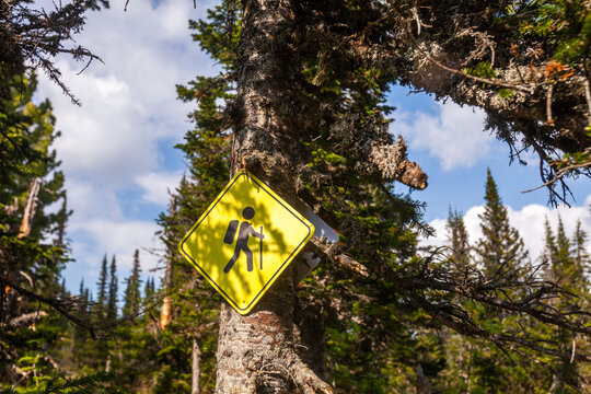 Yellow Sign marking the tourist route. Mountain Shoria. Russia