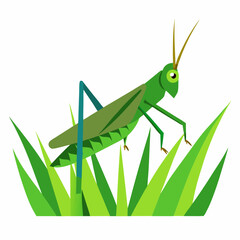Vector of a Grasshopper sitting on a blade on white background