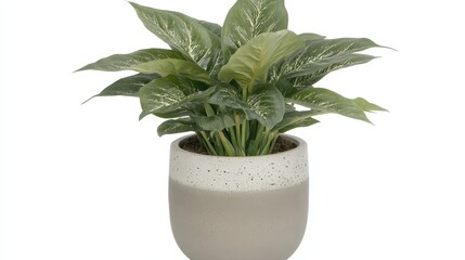 Greenery plant in a speckled, muted gray and off-white planter.