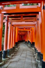 伏見稲荷大社・千本鳥居（京都・伏見区）
