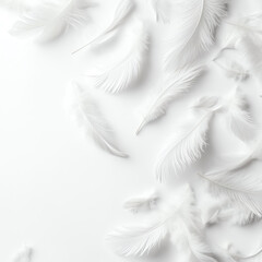 Fototapeta premium Delicate white feathers gently scattered on a soft white background.