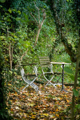 Two cute white remote outdoor chairs and a table in green environment and autumn leafs on the ground