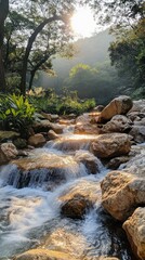 Obraz premium A serene stream flows over rocks in a lush forest, illuminated by soft sunlight.