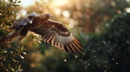 Fototapeta premium An eagle soars through a sunlit forest, wings extended wide, capturing the beauty and freedom of nature in graceful flight.