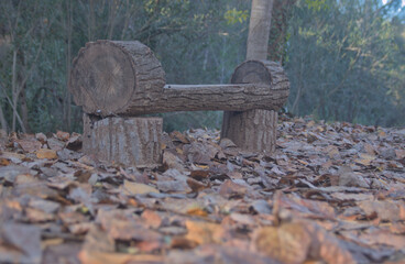 Bench made of logs on a path