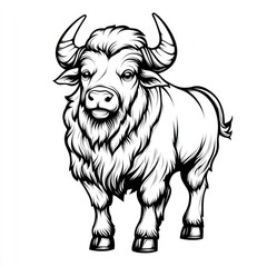 Majestic Line Art Illustration of a Water Buffalo