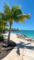 Fototapeta premium A serene beach path lined with palm trees and clear blue water under a bright sky.