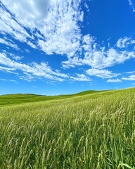 Obraz premium A vibrant landscape featuring lush green fields under a bright blue sky with scattered clouds.