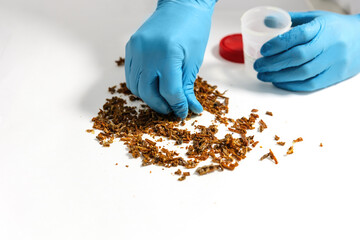 Gloved hands handling organic sample.