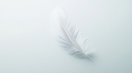 Obraz premium single elegant feather lying on white background creates serene and minimalist aesthetic. delicate details of feather evoke sense of calm and tranquility