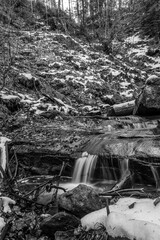 Fototapeta premium Landscapes - Forest - Europe, Romania, Suceava region 
