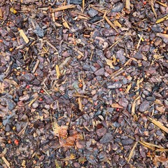 Fototapeta premium Natur Pflanzen