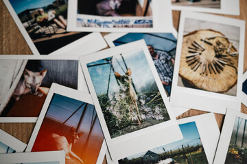 Captured memories of nature and wildlife in a playful collection of vibrant snapshots