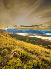A scenic view from Cerro Crystal, Patagonia, featuring a Crested Caracara amidst golden grasslands, overlooking tranquil lakes, rugged mountains, and a dramatic evening sky.