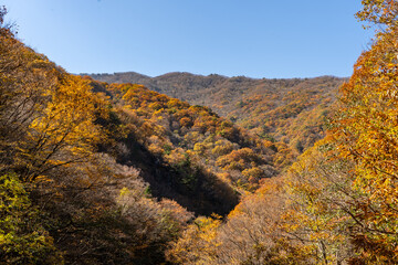 autumn in the mountains