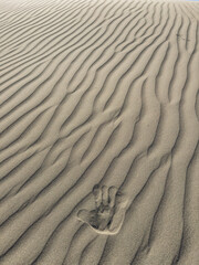 Akrotiri Sand Dunes in Cyprus