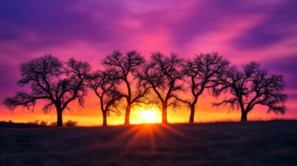 Fototapeta premium Bare winter trees silhouetted against a vivid sunset, capturing the serene, reflective mood of the winter solstice.
