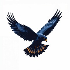 Obraz premium Flying Hawk Illustration with Outstretched Wings 