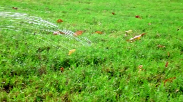 Splinker irrigates the lawn near the house, watering the lawn grass.