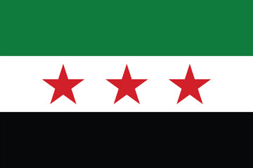 The opposition's new three-star Syrian flag covering the frame