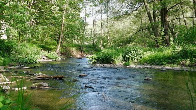 Fluss Selke im Selketal Meisdorf Harz
