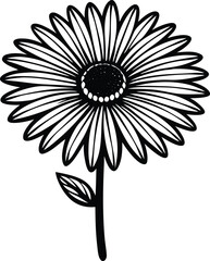 black and white flower