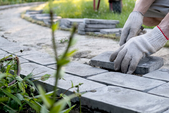 Laying paving stones on cement mortar. Laying a garden path made of tiles. Self-laying of concrete paving slabs in the courtyard of the house. do it yourself. DIY
