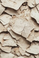 A close-up of textured, dry, cracked paper-like layers stacked together.