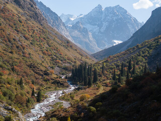 A mountain river, a stream meanders among the slopes of the mountain. Summer landscape, meadow and...