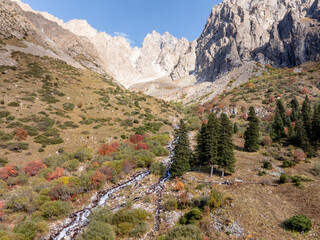 A mountain river, a stream meanders on the slope of the mountain. Summer landscape, meadow and fir...