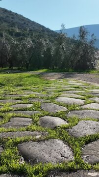il Basolato Romano della via Appia Antica. Roma, Italia.
Un tratto della Via Appia costrita dai romani dell'antica Roma. Itri, Lazio.
