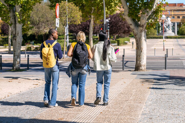 Obraz premium Multiethnic university students walking on campus
