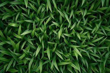 Fototapeta premium Lush Green Grass Texture Background