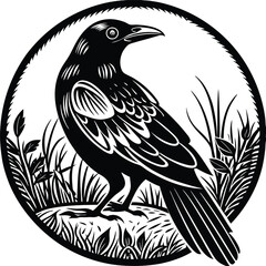 Fototapeta premium Magpie vector silhouette, isolated white background