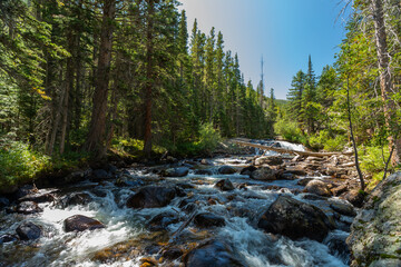 Scenic River Scene, Water flowing, Rocks in Riverbed, surrounded by Pines, sunny Summer Day with blue Sky