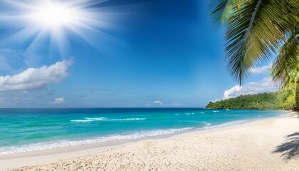 Fototapeta premium a tropical beach scene with palm trees and white sand overlooking the ocean a softly focused background of trees the sunlight creates a warm atmosphere