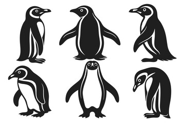 Fototapeta premium set of penguins