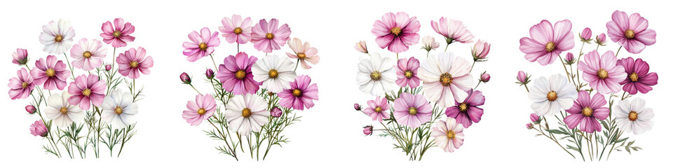 Fototapeta premium Vibrant Cosmos Flowers Blooming in a Lush and Serene Summer Meadow Creating a Captivating and Idyllic Scene of Natural Beauty and Tranquility