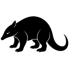 kangaroo illustration