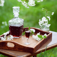 Cherry liqueur in vintage carafe -  homemade fruit alcoholic drink in the spring garden.